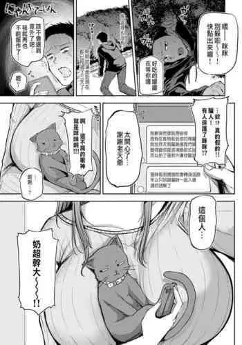 その1、命乞いエルフ
