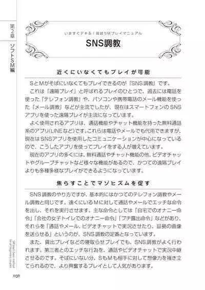 いますぐデキる 図説SMプレイマニュアル