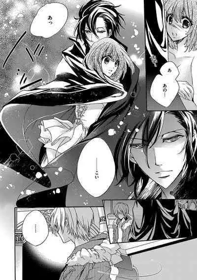 鬼畜兄弟の悶絶調教～私はいいなり奴隷～