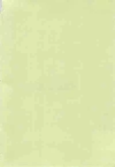 (Puniket 10) [COUNTERPARTS (Gabagobogebe)] Delicate Sound of Thunder (Digimon Adventure)