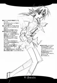 (C60) [Ryu-Seki-Do (Nagare Hyo-go)] V-Zweit (Noir, Gear Fighter Dendoh)