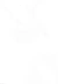 (C94) [Sakekan Memorial (SOLOPIPB)] Shiragasane -Tojinawa-