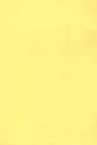 [Bronco Hitoritabi, Sumi Kara Sumi Made (Uchiuchi Keyaki, Gabyonuno)] Gabyonuno to Uchiuchi Keyaki ga Saikin Suki na Mon (Various)