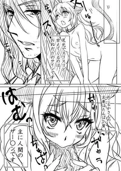 ねこるかさんの飼い方