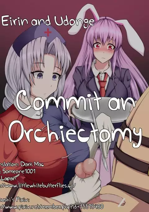 Eirin and Udonge Commit an Orchiectomy