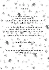 (Dai 132 Ki Bunbunmaru Shinbun Tomo no Kai) [COLOR-STAINING (Joni Gori)] AyaHata Biyaku Report - Aya x Hata Aphrodisiac Report (Touhou Project)