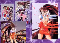 [GIGA] V.G.Perfect Collection Illustrations