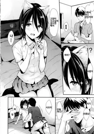 Neko Kaitai | 고양이 사고싶어