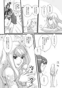 (C75) [mumei4goubasi (Akabane Mau)] Twin Angel (Macross Frontier)