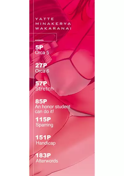 Yatte Minakerya Wakaranai | I Would Not Know Unless I Try Fucking