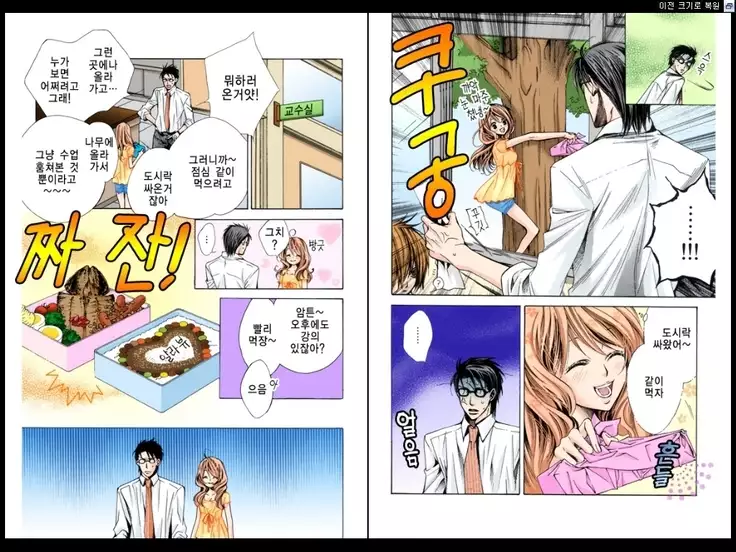 Naisho no Love Mariage | 비밀의 결혼