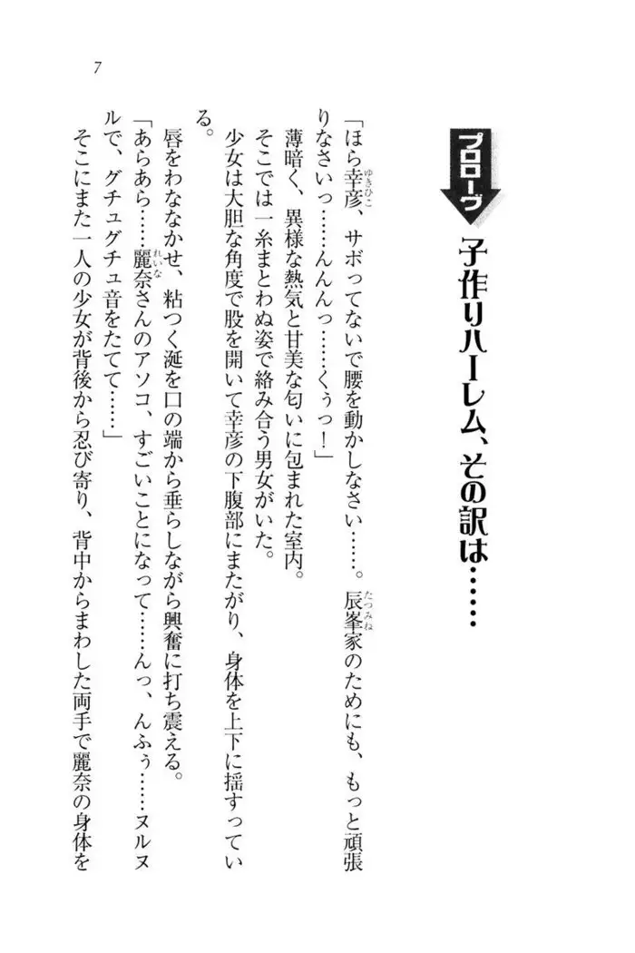 お嬢様☆お世継ぎ生産計画