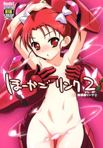 (C84) [Reds! (Aotsuki Hirotada)] Houkago Link 2 (Accel World)