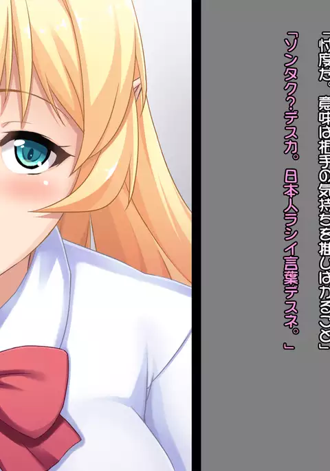 Junshin na Elf no Ryuugakusei ni H na Koto o Oshieyou!