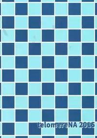 (C89) [telomereNA (Gustav)] Ecchi na Usagi wa Suki desu ka? (Granblue Fantasy)