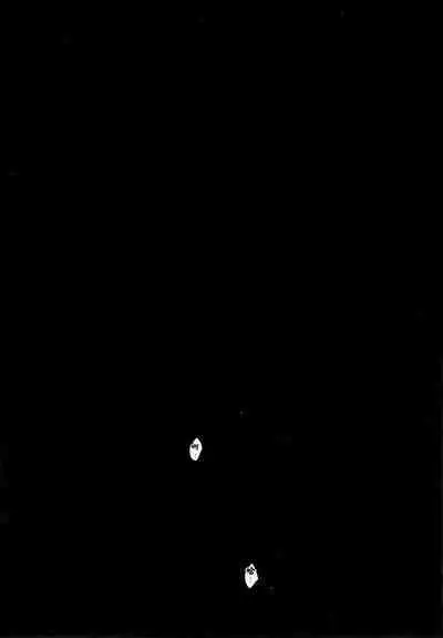 (C100) [Yakiniku Tabetai (Derauea)] Karin-chan no Ura Shinpi Kaihou ~Suimin Zecchou, Kaishi~ Hen | 花凜醬的裏神秘解放~睡眠絕頂、開始~編 (Blue Archive) [Chinese] [欶澜汉化组]