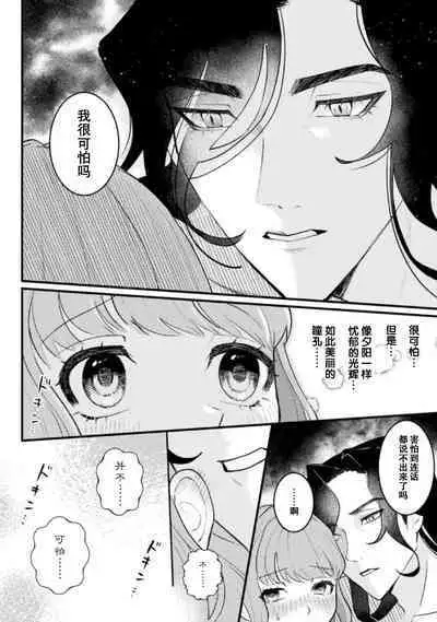 Mahoutsukai ni Miirarete | 被魔法使所魅惑 1