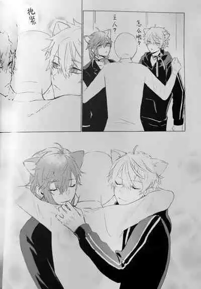 Neko no Iru Seikatsu | 有猫的生活