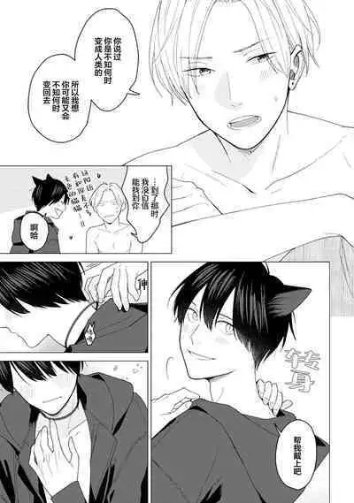 恋爱中的猫咪想被抚摸