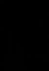 (Reitaisai 15) [Suoiretsym (Hisona)] Fusego, Usuakari (Touhou Project) [Chinese] [迷途竹林汉化]