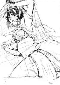 (C71) [Ikibata 49ers (Nishiki Yoshimune)] Zero Revo (Zero no Tsukaima)