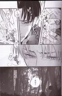 (FALL OF WALL2) [Zerohaku (Fujimako)] Kurai Gishiki (Shingeki no Kyojin)