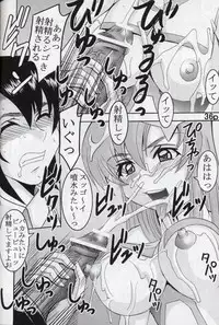 [St. Rio (Kitty, Kouenji Rei)] COSMIC BREED 5 (Gundam SEED DESTINY)