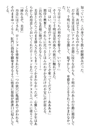年上メイドの新婚日記
