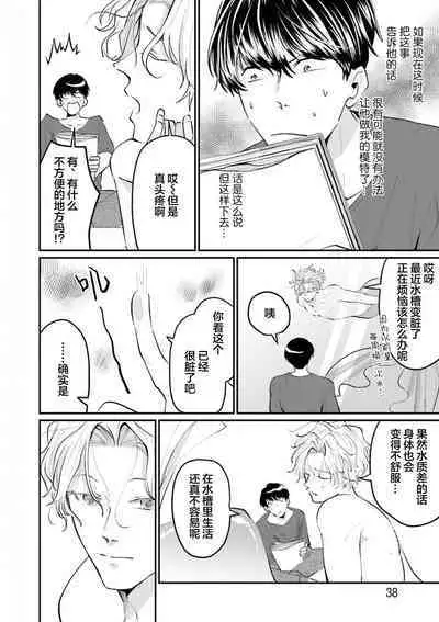 即便如此人鱼仍然羞于爱恋