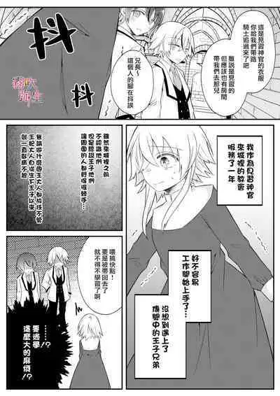 Dekiai Kei Yandere Kyoudai Ouji wa Itoshi no Shinkan Mazoku Ochi Sasetai | 溺愛係病嬌王子兄弟想讓心愛的神官墮落成魔族
