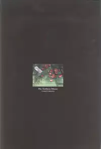 [CARNELIAN] Kao no Nai Tsuki Visual Fanbook (Kao no Nai Tsuki / Moonlight Lady)