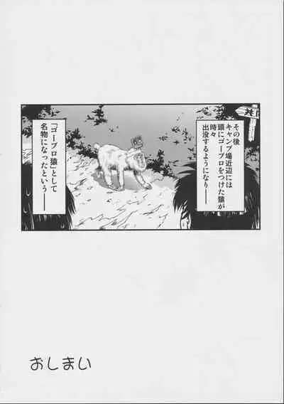 Shiori Gaiden Soushuuhen