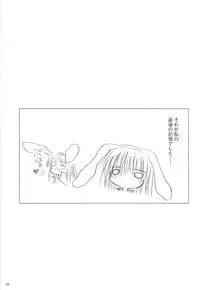 [観月堂] 電撃ラグナ (RO)