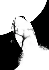 (Shota Scratch 10) [♂Mentaiko♂ (Itto)] Itai Itai Itai. 1 | 痛痛痛 1 [Chinese]