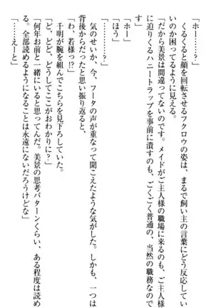 年上メイドの新婚日記