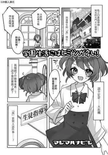 Gakuen Seikatsu ni wa Himitsu ga Ooi ! | 學園生活中有很多秘密!