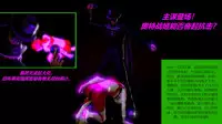 (女奥特曼)奥特战姬凌轩!绝境苦战!——强敌图鉴总集篇