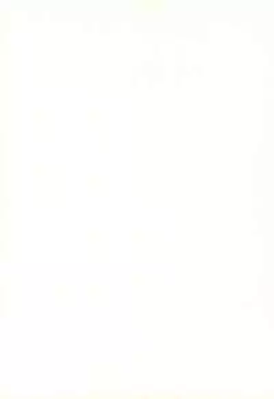 [NIPA2 COMPANY (OKINA)] STIGMA Tenshi no Rakuin -Seikon-