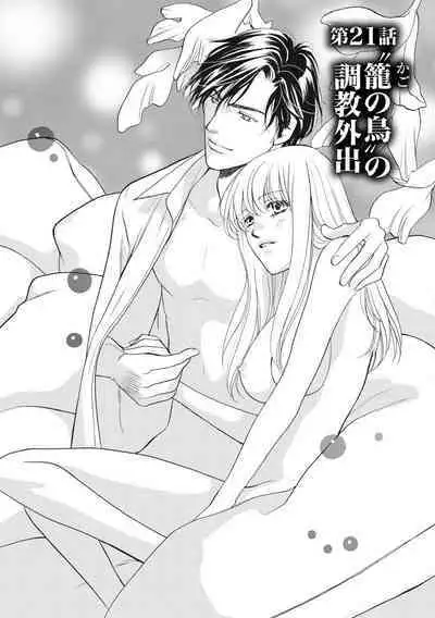 [Omi Shinano] Imouto Mekake ~Onii-sama, Mou Yurushite~ 4 [Digital]