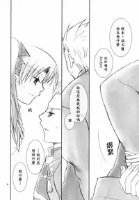 (C66) [Happy Water (Kizaki Yuuri)] Restraint. (Fate/stay night) [Chinese] [wl00314824個人漢化]