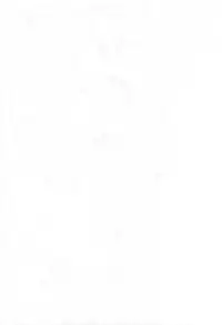 [観月堂] 電撃ラグナ (RO)