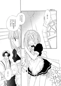 [CALL.A, Flower Crown (Kanou Miki, Yukimura Riko)] Strawberry Parfait (Tokyo Mew Mew)