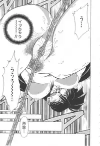 [Shizuka] Reijou Shiiku Datenshi-tachi no Utage