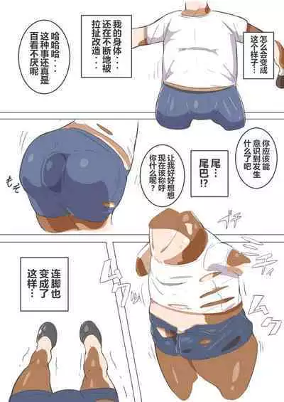 有秘密的竞赛马