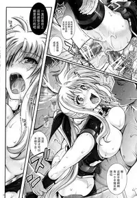 (C88) [Cyclone (Izumi, Reizei)] T-24 2 tai choooo (Mahou Shoujo Lyrical Nanoha) [Chinese] [魔法猪汉化]