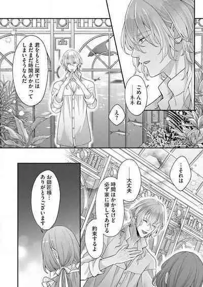 Nene to Ikoku no Mahoutsukai Isekai ni Shoukan Sareta to Omottara, Naze ka Koneko to shite Aigan Saretemasu 1-5