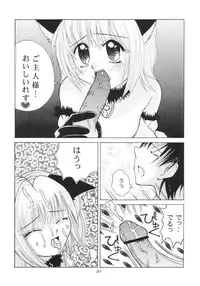 Tokyo Nyan nyan
