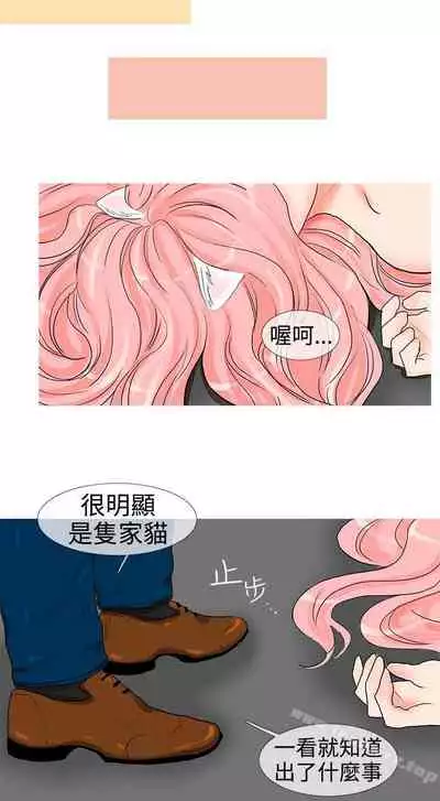 小野貓馴服手冊