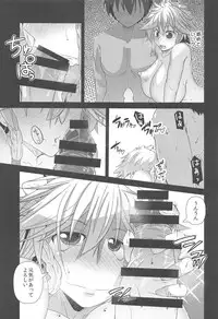 (C95) [Teraoka Digital Works (Endou Tatsumi)] Sakuya-san to SeFriex (Touhou Project)