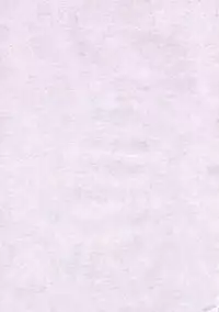 (C65) [Black Onix (S Master)] Comic Endorphin 8 Ge no Maki - The Concluding Book (Samurai Spirits)